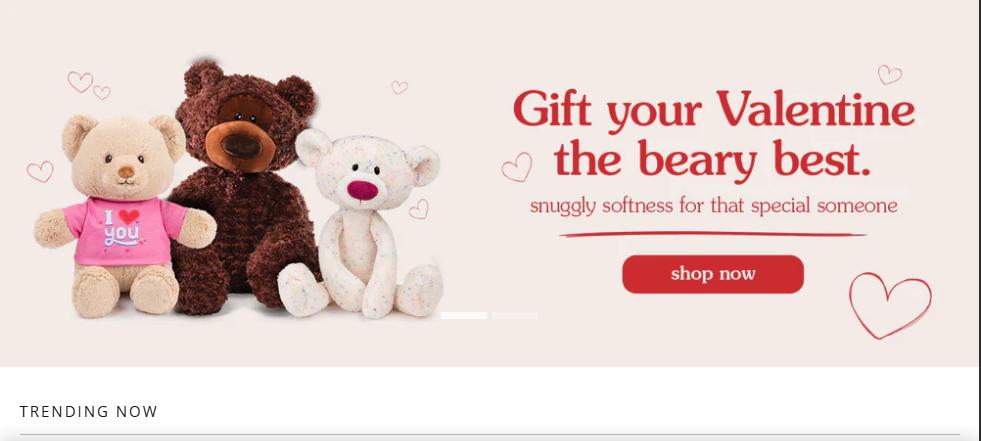 gund us.shop banner